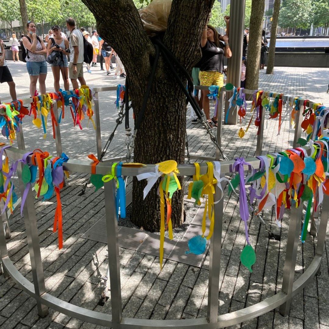 Colorful messages and notes adorning the Survivor Tree