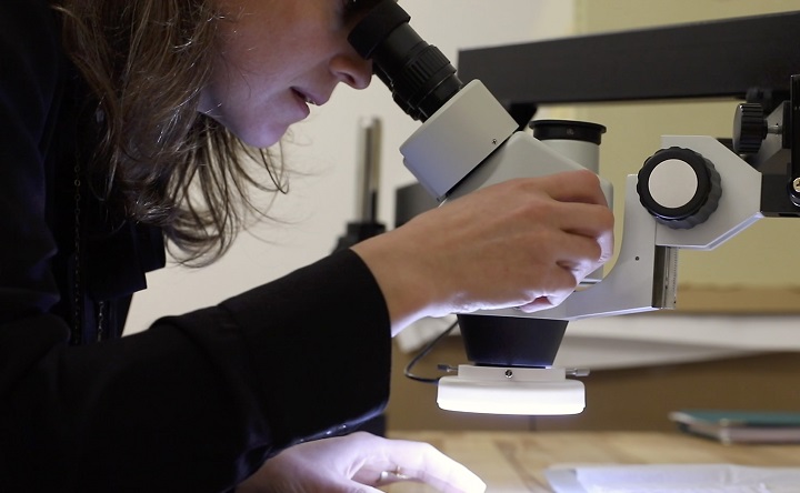 A woman wearing a black shirt peers through a microscope lens.